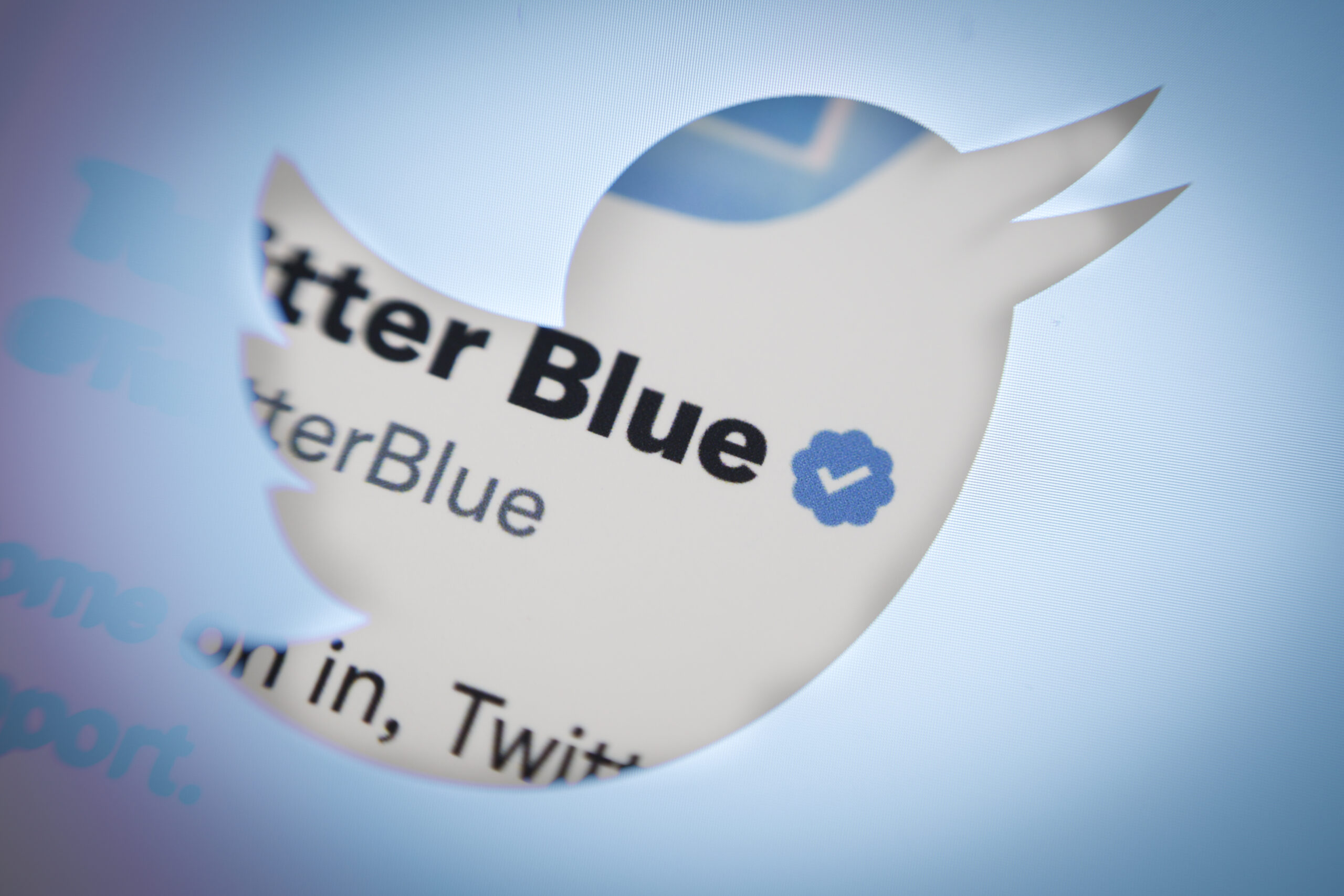 Twitter mở đăng ký truy cập sớm để xác minh tổ chức